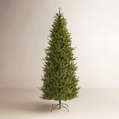 Fraser Fir Christmas Tree