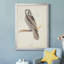 Toile encadrée de qualité supérieure Canada Owl - prête à être accrochée-1680736776-1680736779
