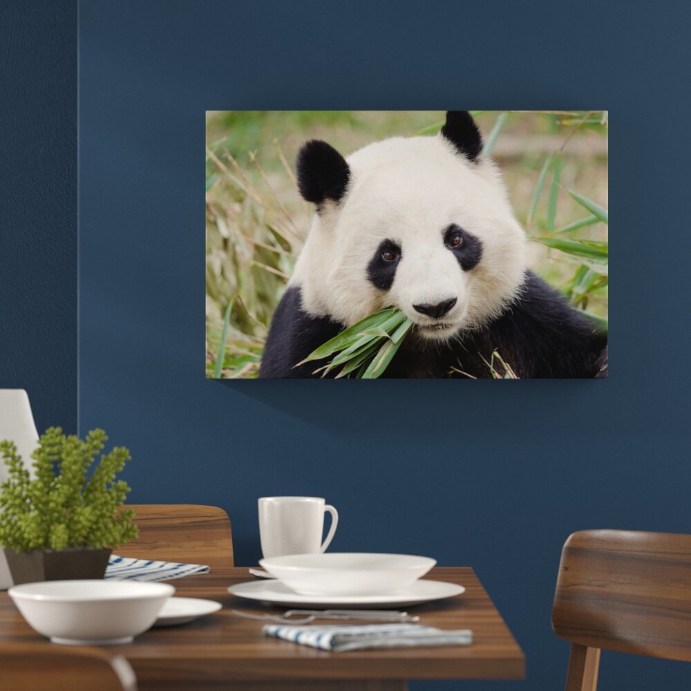 Leinwandbild ,,Pandabär frisst Bambus", Fotodruck