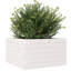 Amiela Planter Box-918828466-918828458