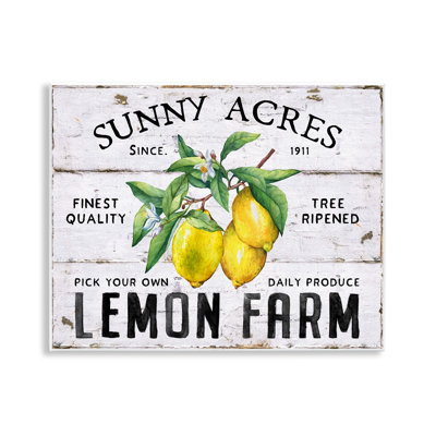  «Sunny Acres Lemon Farm», art mural par Creatif Belle