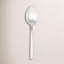 Arezzo Brushed Serving Spoon