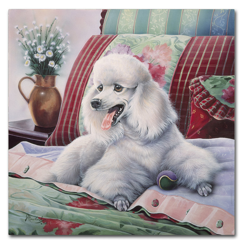 « white caniche », reproduction d’impression sur toile tendue, H 18 po x l 18 po x P 2 po