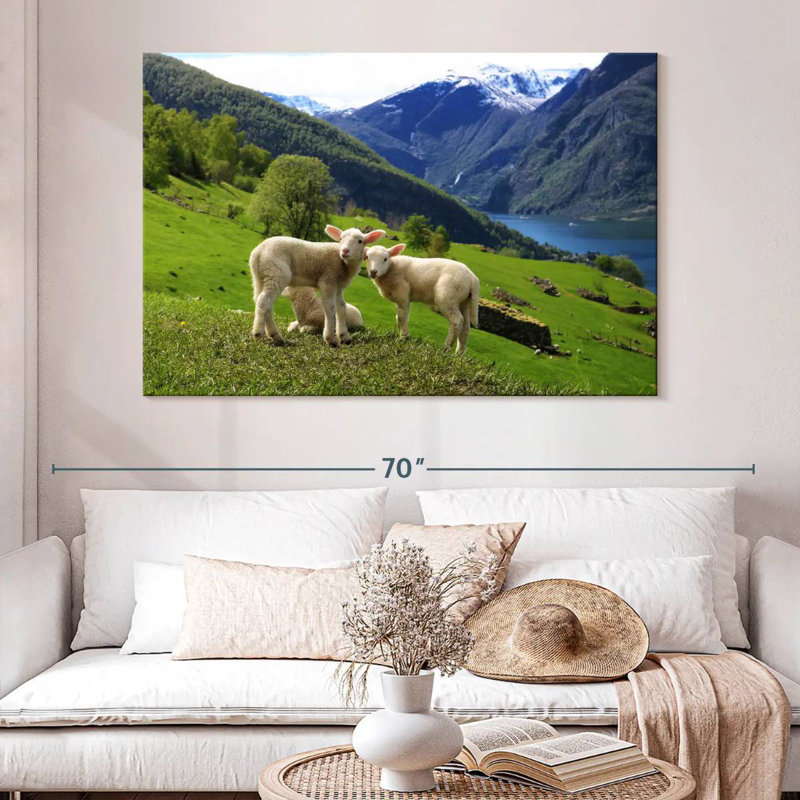 Norwegian Sheep