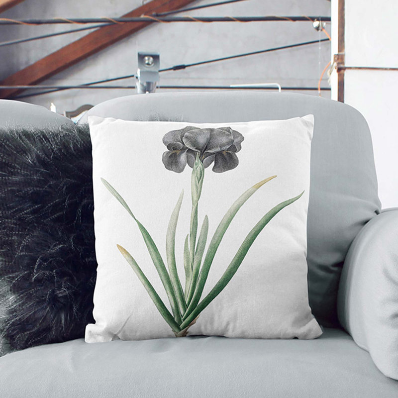 Mourning Iris Flower by Pierre-Joseph Redoute Cushion with Filling, Stone, 55cm H x 55cm W x 20cm D