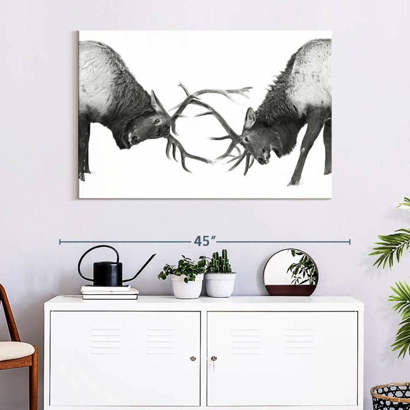 Brampt Fighting Elks, 26" H x 39" W