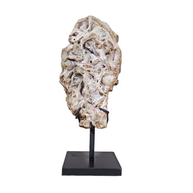 Fossil Scholar Stone Sculpture