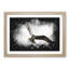 Osprey Bird - Picture Frame Graphic Art Print-56861235-56861236