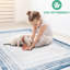 Bleu / tapis non teinté 2 x 8, tache, idéal pour le salon, la chambre à coucher, la salle à manger, le bureau à domicile sans perte de poils, la teinture et la décoration
