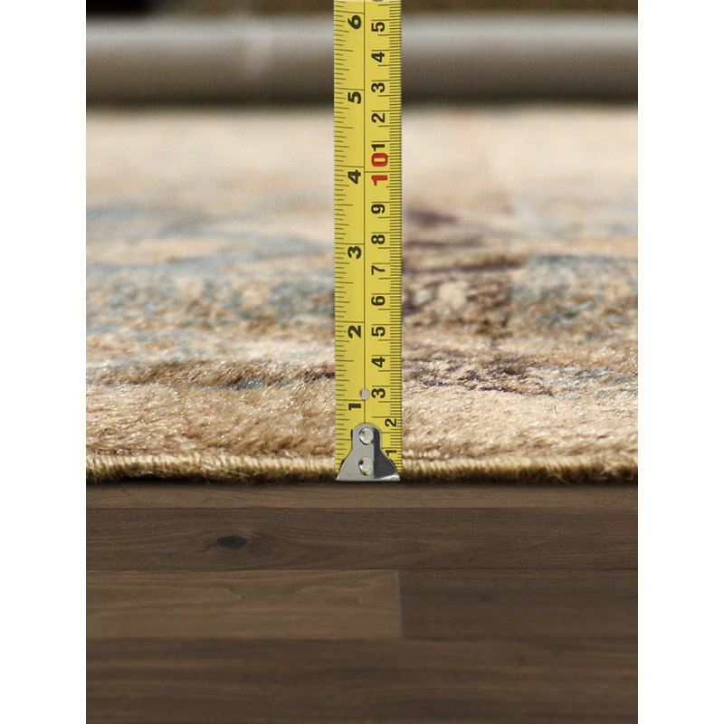 Agra Hand Knotted Wool Oriental Area Rug