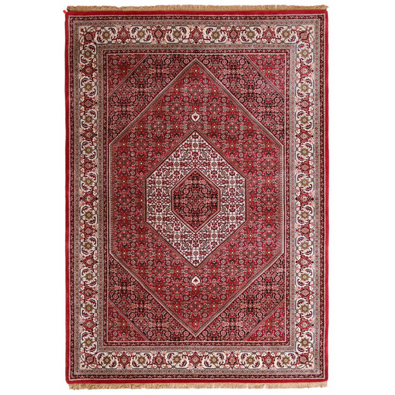 Carl Oriental Hand Woven 172cm X 248cm Area Rug