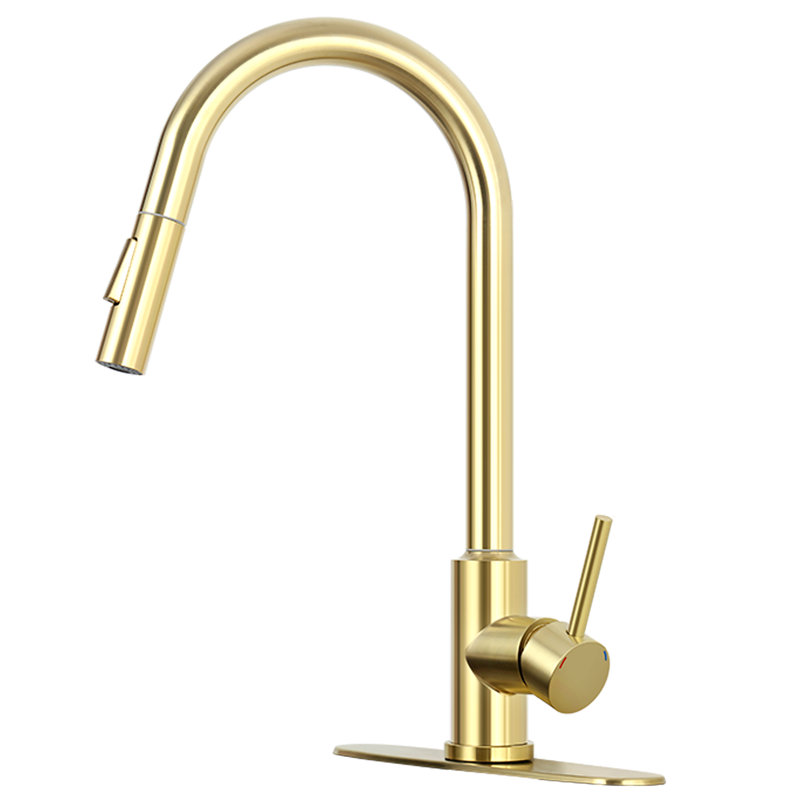 Robinet de cuisine à poignée simple Luxe