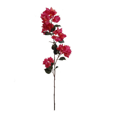 Bougainvillea Arrangement