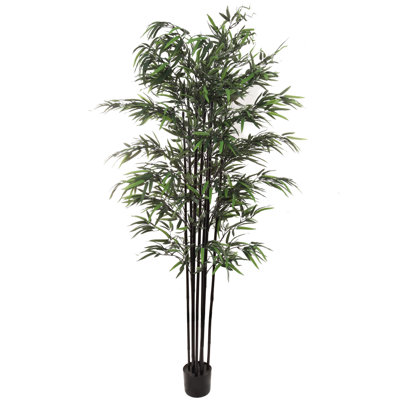 6' Black Bamboo Tree - Realistic Greenery For Home And Office Decor Pack Of 2