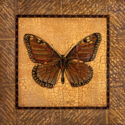 Papillon craquelé - monarque