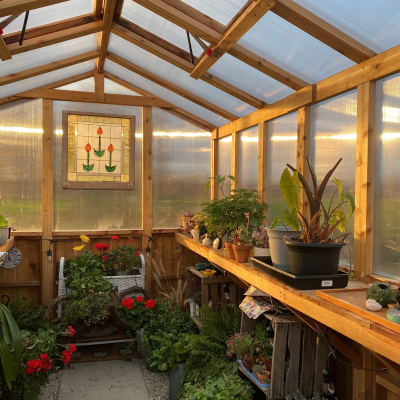 8 ft. W x 12 ft. D Cedar Wood Greenhouse