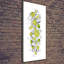 Limes - Wrapped Canvas Print