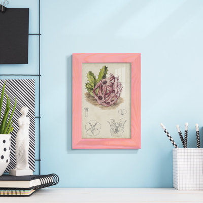 Cactus antique III, impression sur papier