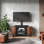 Charlotin Swivel Height Adjustable TV Stand