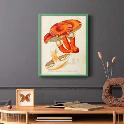 Reproduction encadrée Mushroom Variétés VII - bois massif