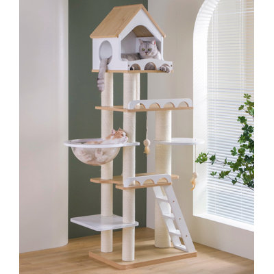 Arbre à chat 5 étages minimaliste en bois massif et bois d'ingénierie pour usage domestique