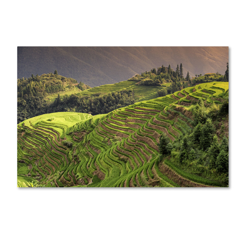 "Ping'an" by Philippe Hugonnard Photographic Print on Wrapped Canvas, 30" H x 47" W x 2" D