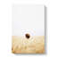 Bison Gaze - Wrapped Canvas-55370603