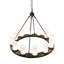 12 - Light Chandelier