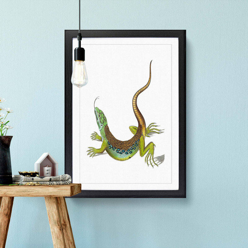 Great-Spotted Lizard by George Shaw - Picture Frame Painting Print, Black Framed, 48cm H x 36cm W x 2cm D
