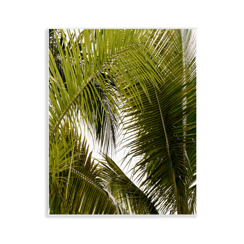 Plaque murale «Layered Palm», design par Natalie Carpentieri