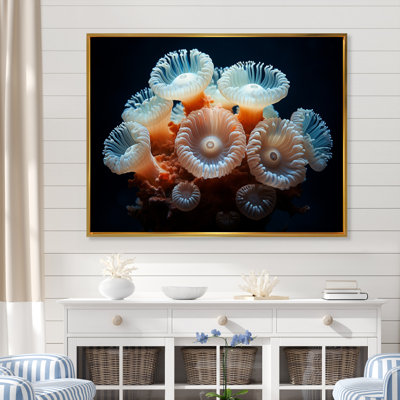 Balanophyllia S, Royaume de corail coloré sur toile