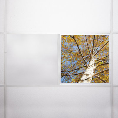 Tree Square Fixture Component Ceiling Light