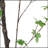 150CM ARTIFICIAL DISC LEAF TREE-363329149