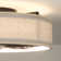 19.6'' Ceiling Fan with Light Kit and Remote Control Included