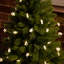 String Lights-436528064