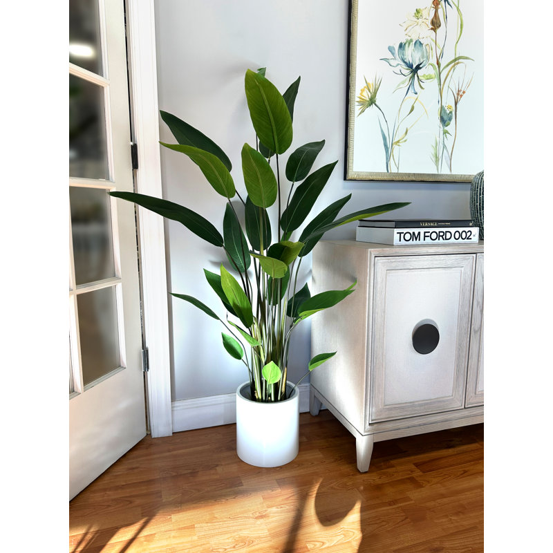 Elspeth 5.5' Faux Water Canna in Liner