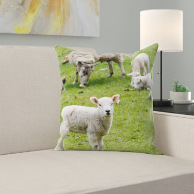 Lamb Throw Pillow