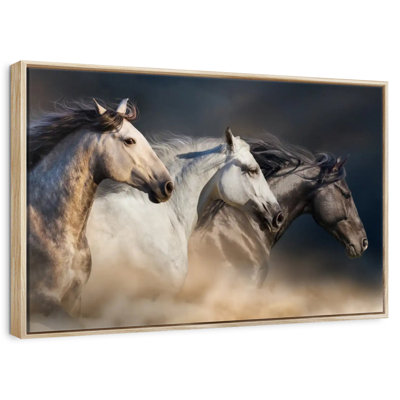Chevaux magnifiques