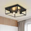 Plafonnier carré cage encastré 2 lumières 17 "17 Stories