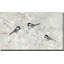 Nature's Confetti II par - Peinture-342506211-342506209