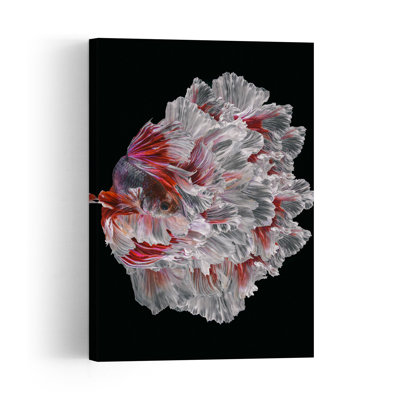 Vibrant Betta Fish Colorful Elegant Vibrant Fish Nature Tropical Wall Art Print 1 Piece Wrapped Canvas Wall Art