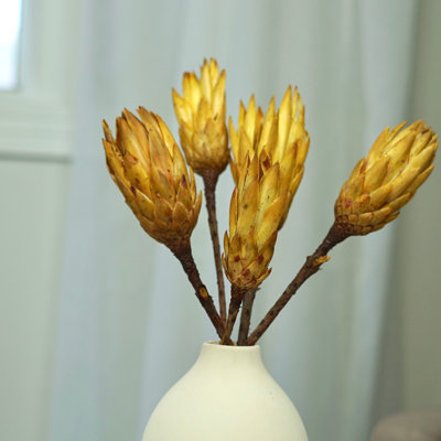 Protea Arrangement