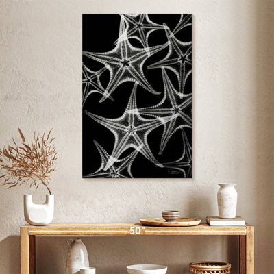 Brampt White Starfish