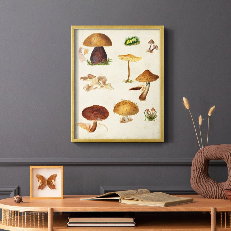 Reproduction encadrée champignon Mushroom Species II, H 14 po x l 11 po