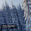 Rideau de douche Winter Morning-790967567