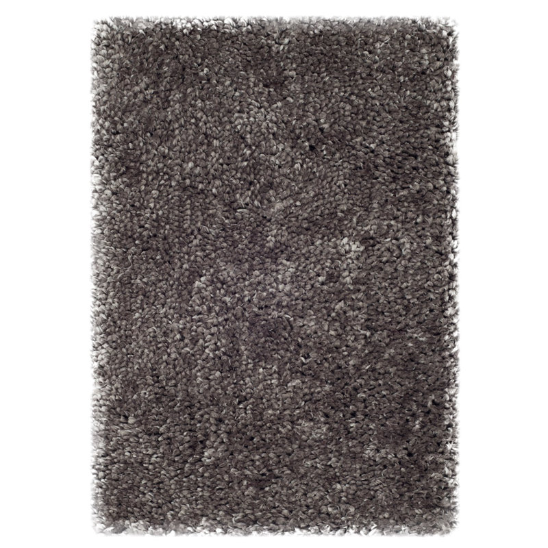 Tapis gris touffeté à la main Shirey, Rectangle de 5 pi x 8 pi