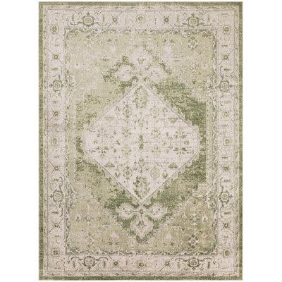 Haydel Oriental Machine Washable Power Loom Polyester Area Rug in Ivory/Green