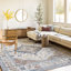 Machine Woven Indoor Rug-466029719-532487867