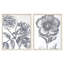 Belle Fleur II S/2 Print by Schlabach