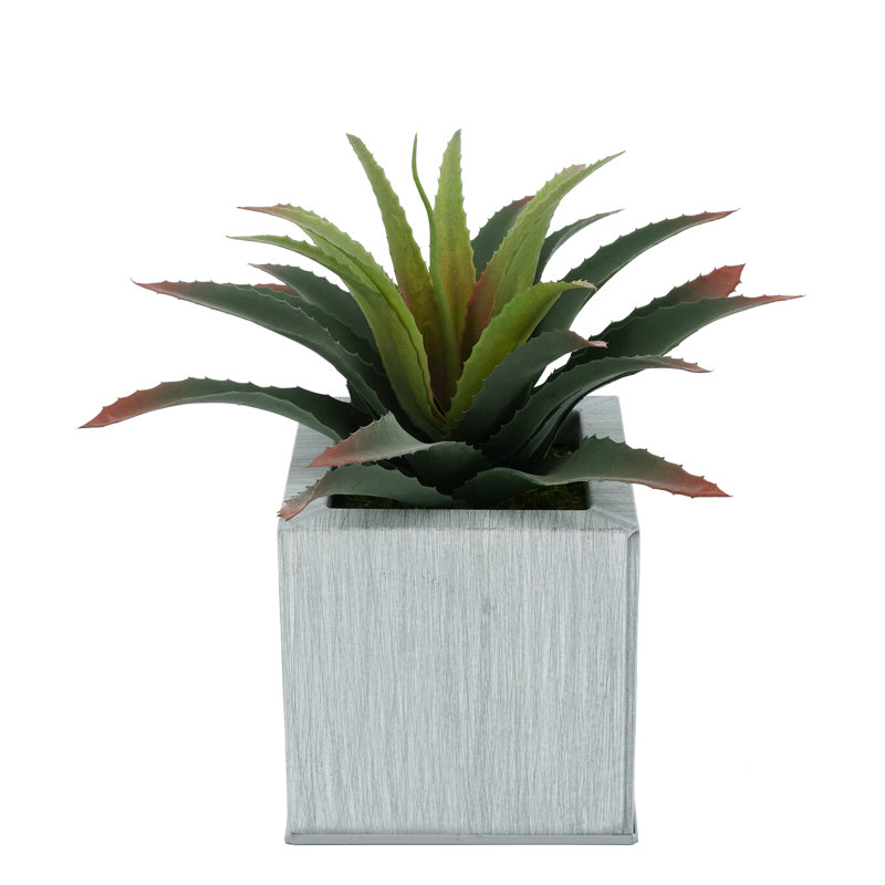 Plante grasse artificielle 7 po en pot, Ferme